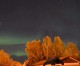 Northern Lights in Fort Nelson
